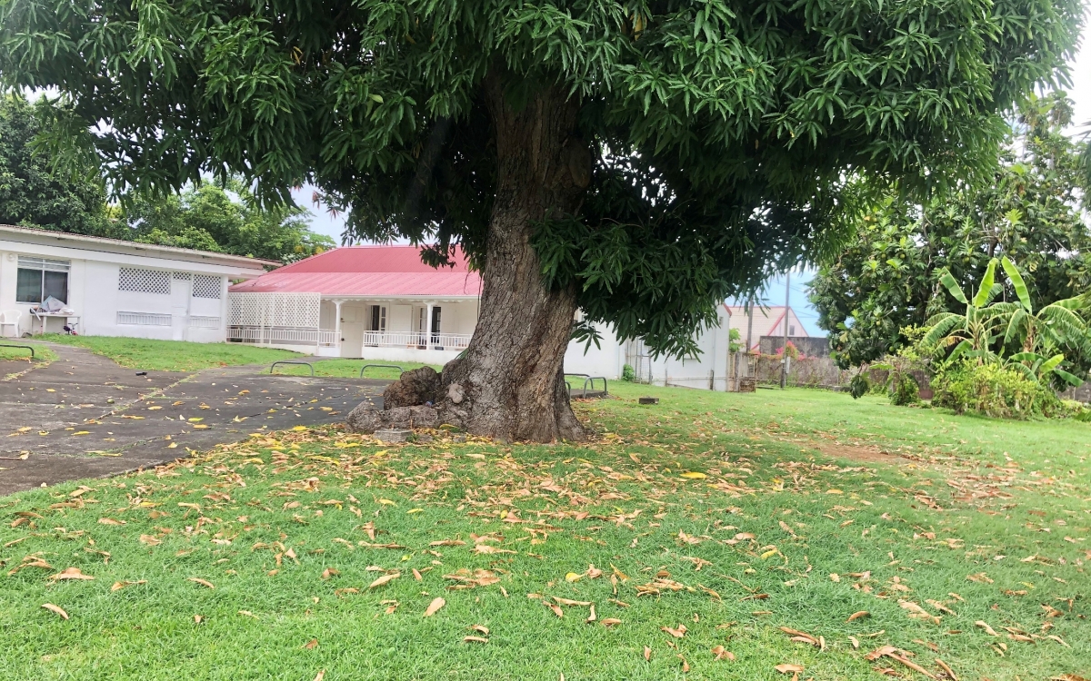 Lot de 3 appartements et 1 maison