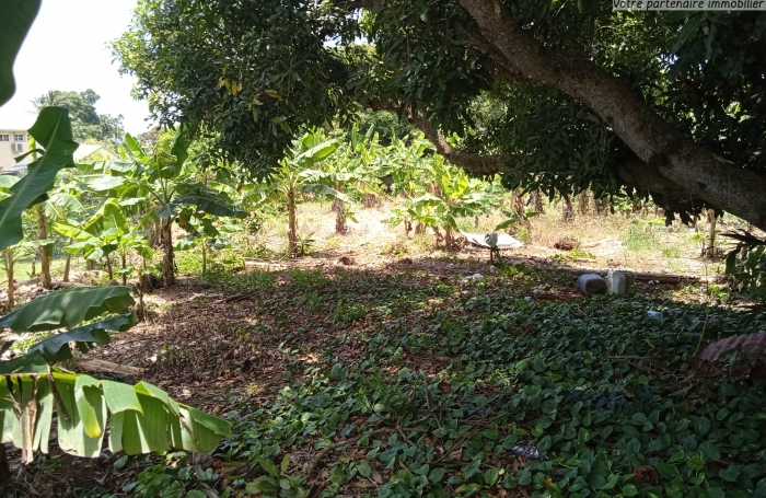 CAPESTERRE Terrain 2763 M2 'Fond Cacao'