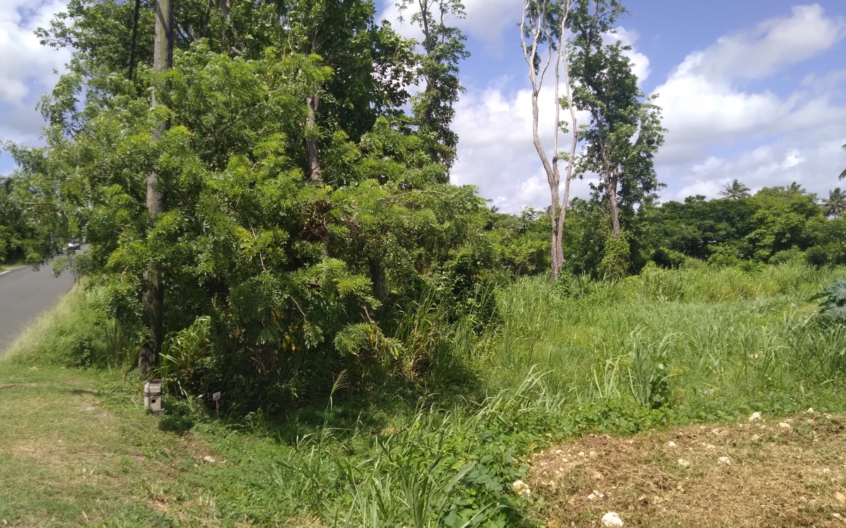 le  MOULE  terrain de 660m2 a 1300 m2 a partir de 99960€