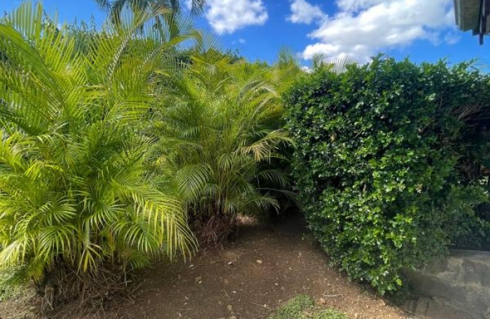 Location Appartement 17m&sup2; 1 pièce Gosier