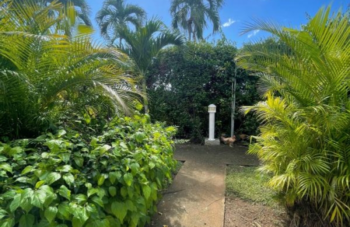 Location Appartement 17m&sup2; 1 pièce Gosier