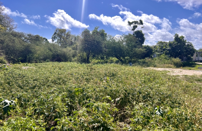 TERRAIN PLAT SECTEUR LA COULEE