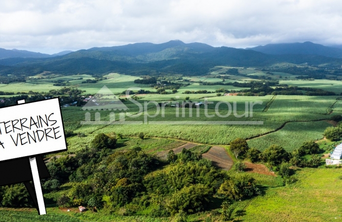 LAMENTIN LOTISSEMENT VUE MONTAGNE