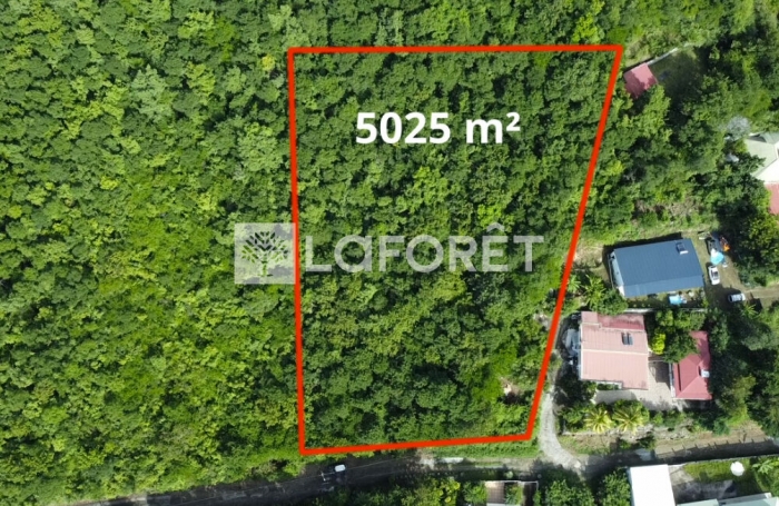 Vente Terrain 5025m&sup2; Bouillante