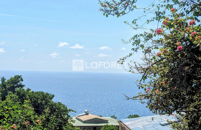 Vente Terrain 5025m&sup2; Bouillante