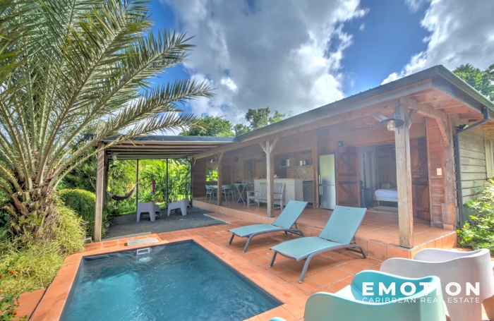 5 GITES INDÉPENDANTS - VUE MER & MONTAGNE - POINTE NOIRE