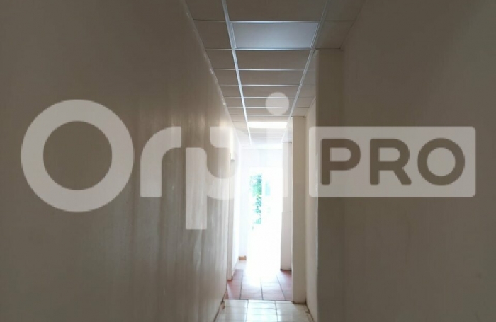 Local Commercial Basse Terre