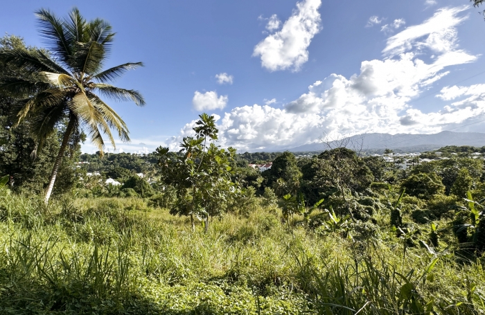 Terrain à acheter à Petit-Bourg avec Longfort Immobilier