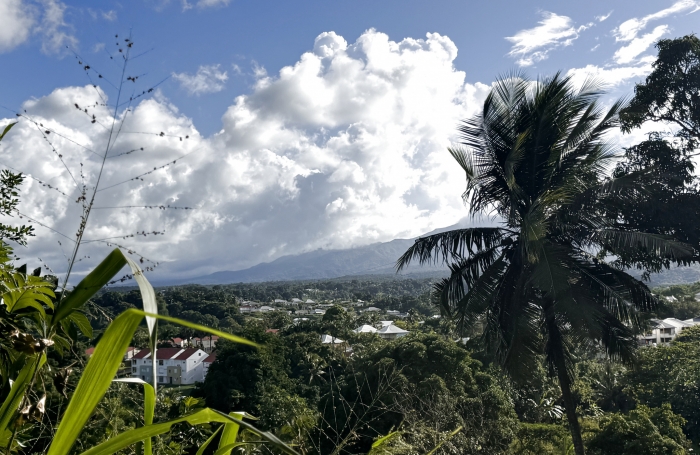 Terrain à acheter à Petit-Bourg avec Longfort Immobilier