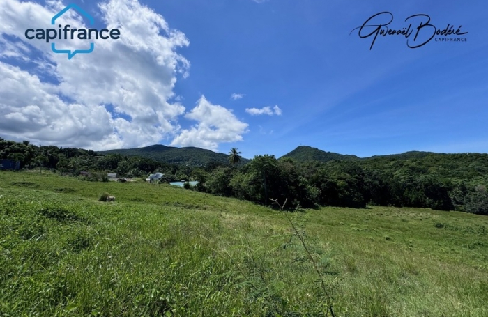 Vente Terrain 23960m&sup2; Sainte Rose