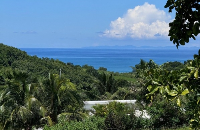 Vente Terrain 23960m&sup2; Sainte Rose