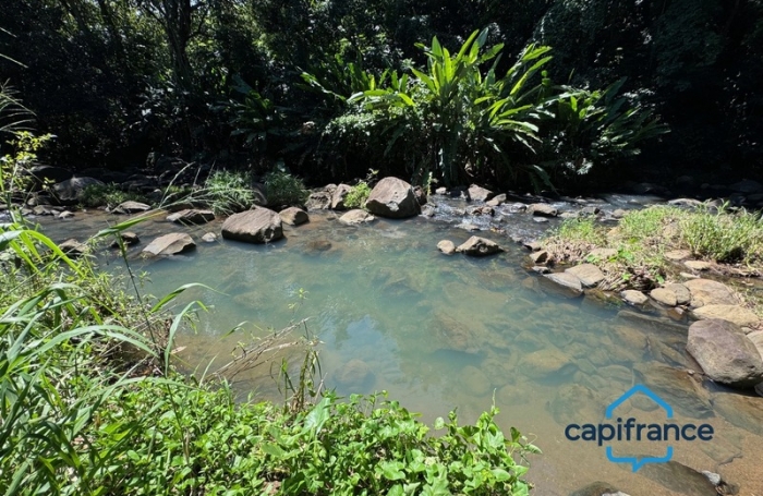 Vente Terrain 23960m&sup2; Sainte Rose