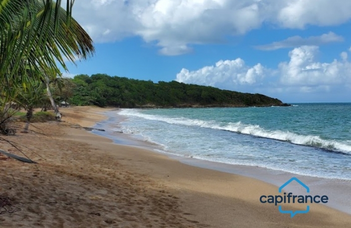 Vente Terrain 23960m&sup2; Sainte Rose