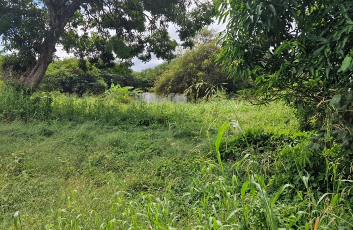 Vente Terrain 800m&sup2; Petit-Canal