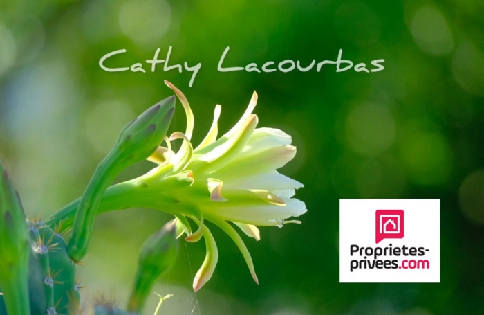 Vente Local commercial 402m&sup2; Deshaies