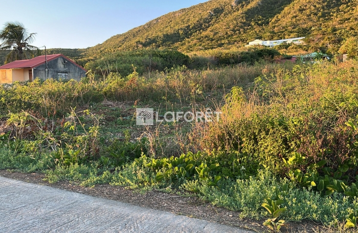 Vente Terrain 1240m² La Désirade