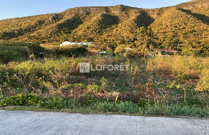 Vente Terrain 1240m² La Désirade