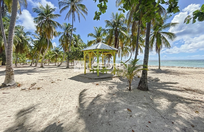 Vente Terrain 1240m² La Désirade