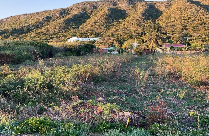 Vente Terrain 620m&sup2; La Désirade