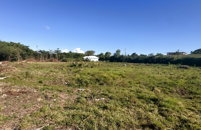 Terrain de 903m2 &agrave; acheter &agrave; Moule avec Longfort Immobilier