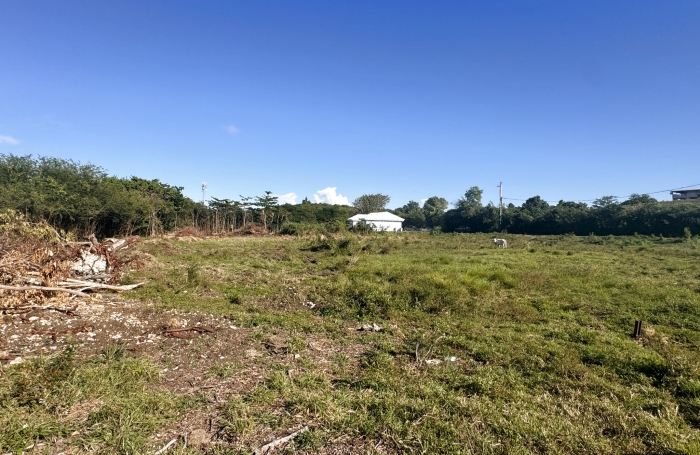 Terrain de 903m2 &agrave; acheter &agrave; Moule avec Longfort Immobilier