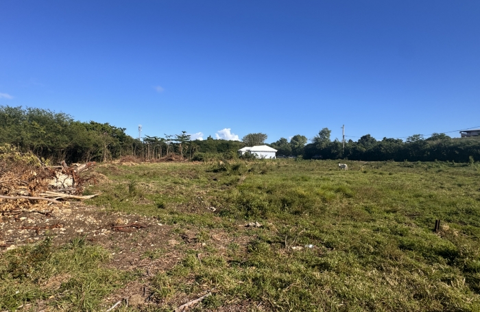 Terrain de 904 m2 &agrave; acheter &agrave; Moule avec Longfort Immobilier