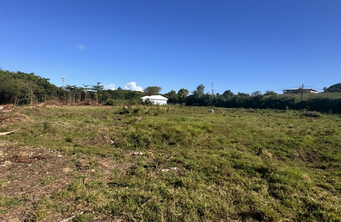 Terrain de 904 m2 &agrave; acheter &agrave; Moule avec Longfort Immobilier