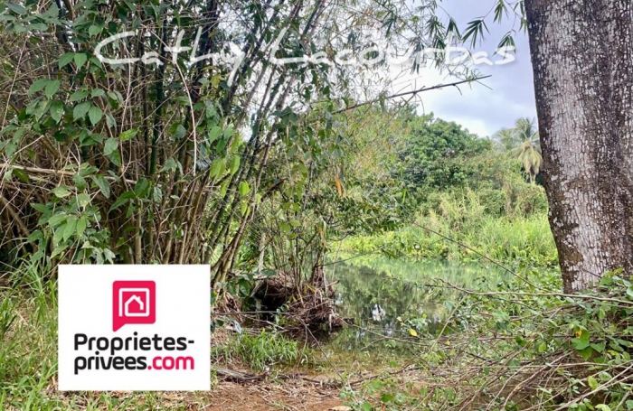 Vente Terrain 10000m&sup2; Pointe-Noire