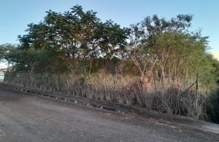 Vente Terrain 840m&sup2; Vieux Habitants