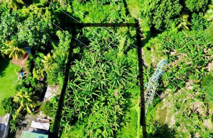 Vente Terrain 1110m&sup2; Capesterre Belle Eau