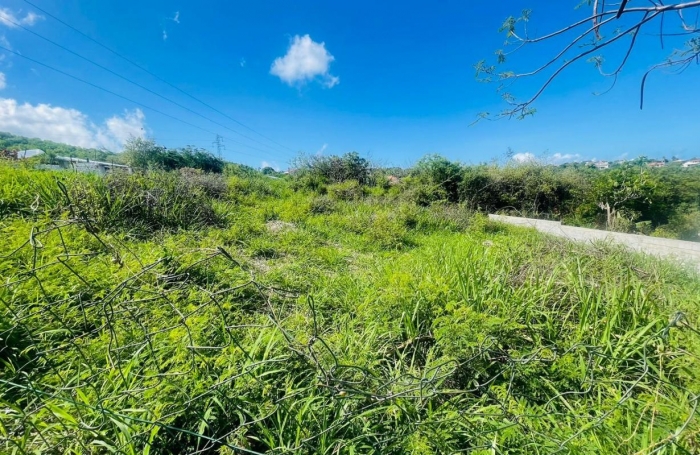 Vente Terrain 840m&sup2; Vieux Habitants