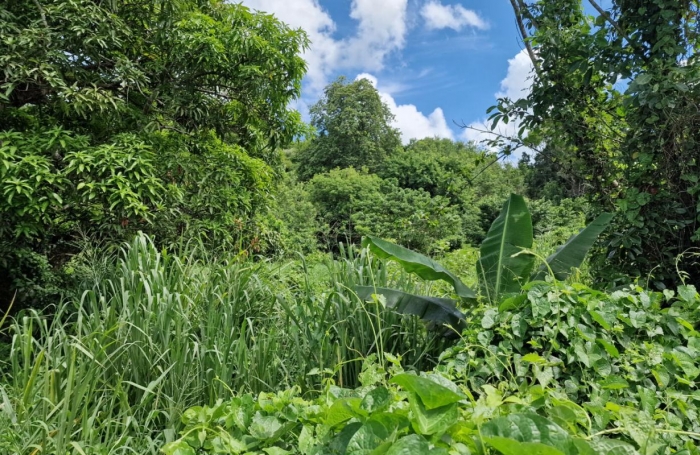 Vente Terrain 697m&sup2; Les Abymes