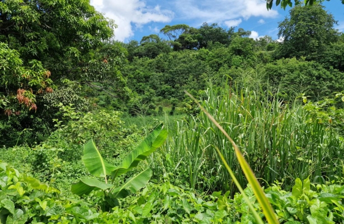 Vente Terrain 697m&sup2; Les Abymes