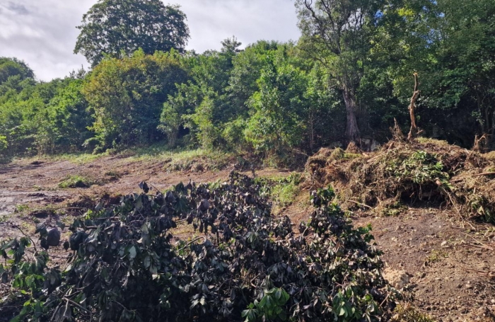 Vente Terrain 697m&sup2; Les Abymes