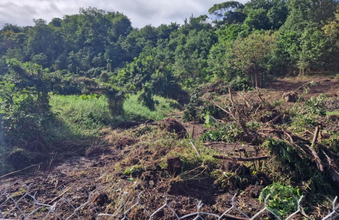 Vente Terrain 647m&sup2; Les Abymes