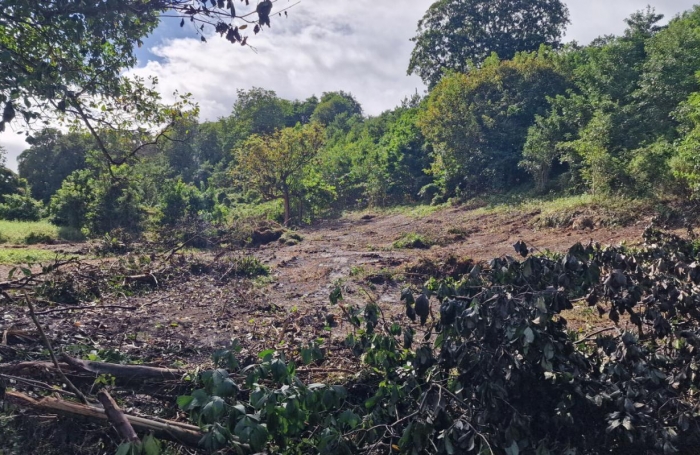 Vente Terrain 897m&sup2; Les Abymes