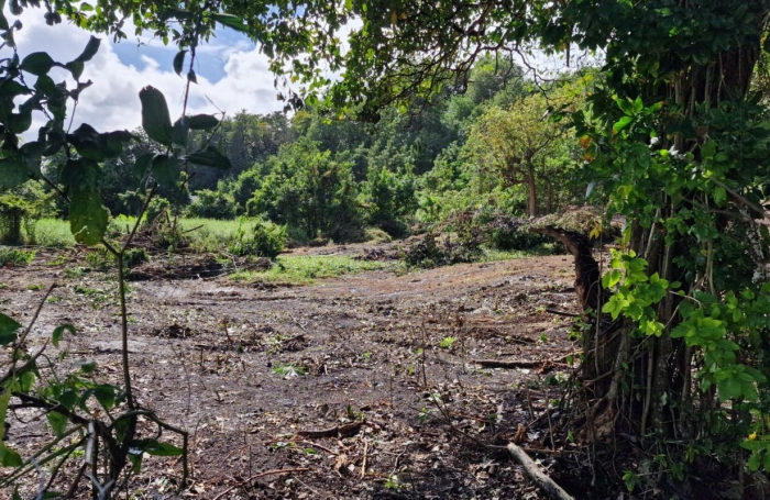 Vente Terrain 897m&sup2; Les Abymes