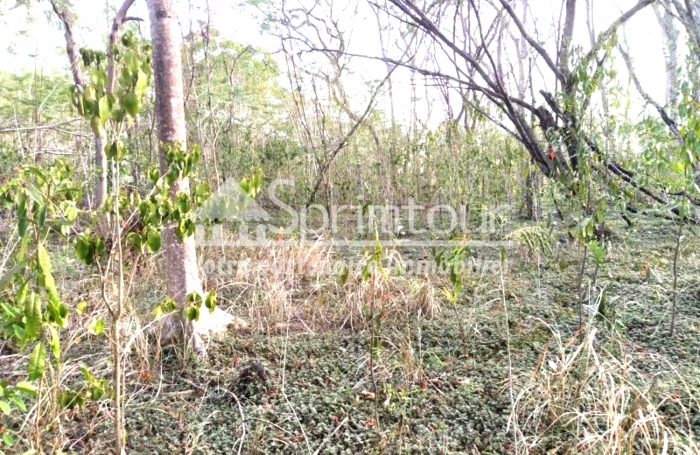 BOUILLANTE - Terrain de 2608 m2 - Bord de mer, plage &agrave; pied