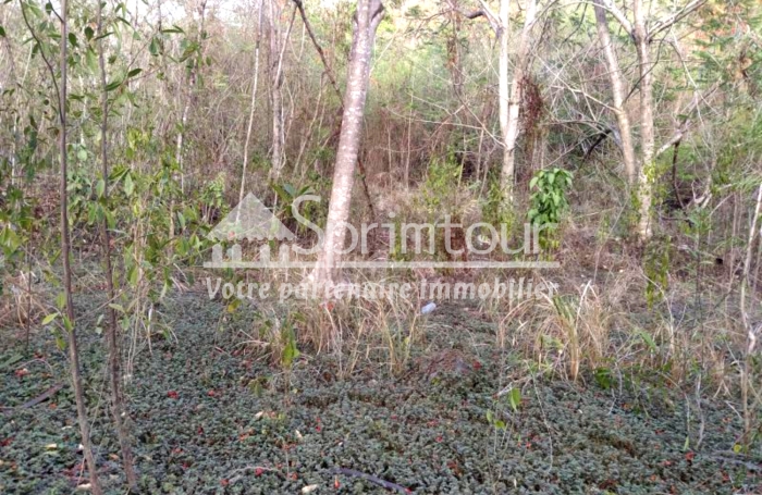 BOUILLANTE - Terrain de 2608 m2 - Bord de mer, plage &agrave; pied