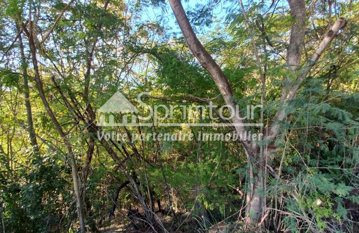 BOUILLANTE - Terrain de 2608 m2 - Bord de mer, plage &agrave; pied