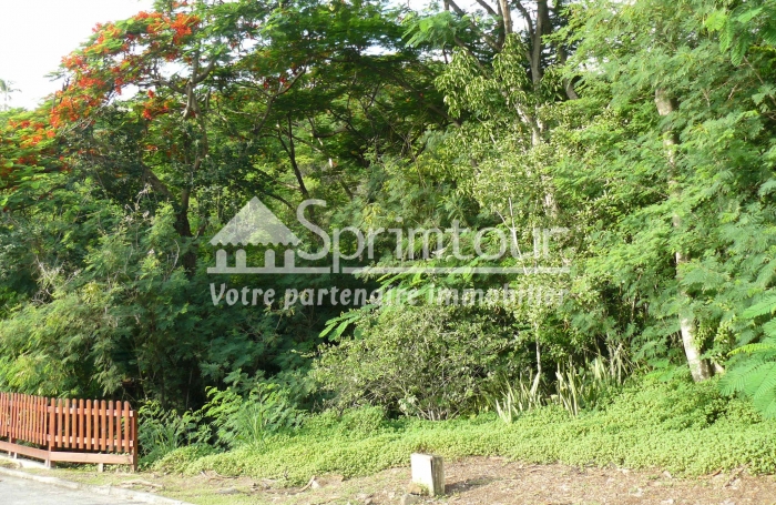 BOUILLANTE - Terrain de 2608 m2 - Bord de mer, plage &agrave; pied