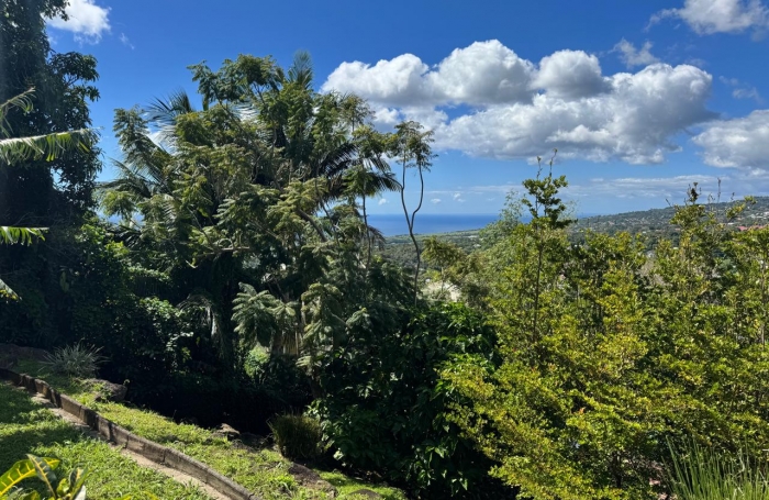 GOURBEYRE - VILLA EXCEPTIONNELLE VUE MER + PISCINE