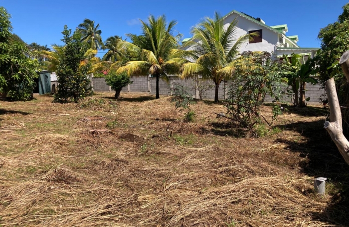 Vente Terrain 97130