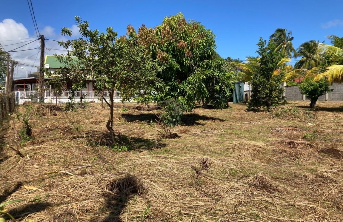 &Agrave; VENDRE - TERRAIN CONSTRUCTIBLE &Agrave; CAPESTERRE BELLE-EAU