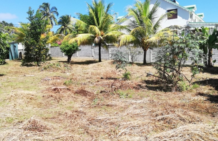 &Agrave; VENDRE - TERRAIN CONSTRUCTIBLE &Agrave; CAPESTERRE BELLE-EAU