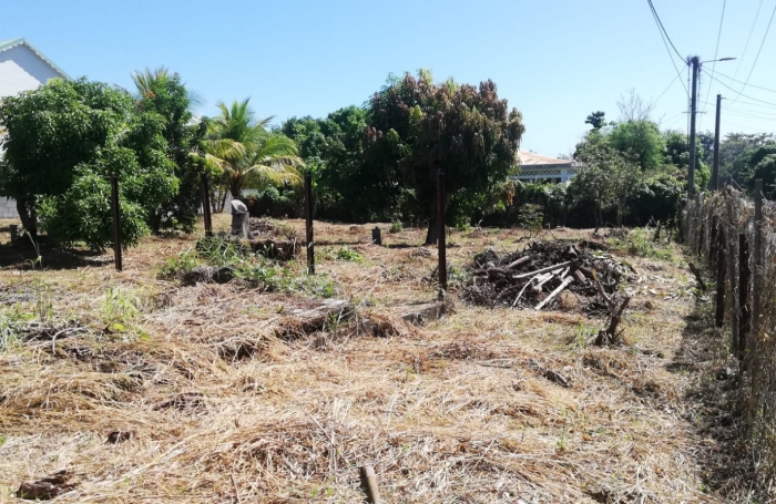 &Agrave; VENDRE - TERRAIN CONSTRUCTIBLE &Agrave; CAPESTERRE BELLE-EAU