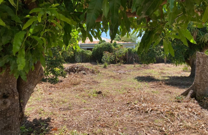 &Agrave; VENDRE - TERRAIN CONSTRUCTIBLE &Agrave; CAPESTERRE BELLE-EAU