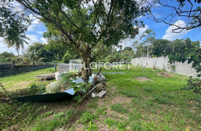 Vente Terrain 550m² 1 pièce Lamentin