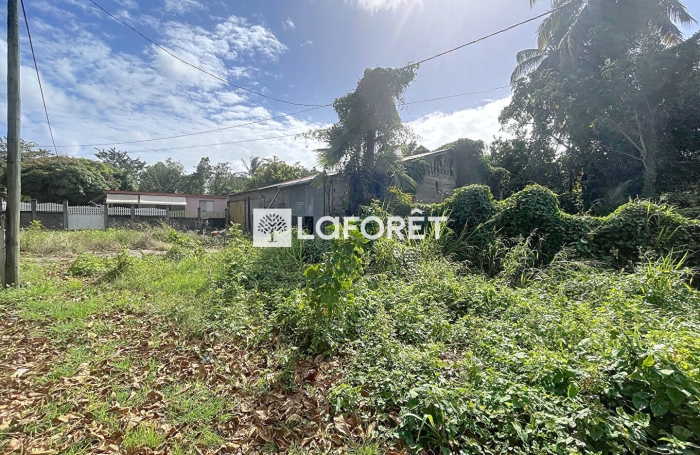 Vente Maison 59m² 3 pièces Morne à l'eau