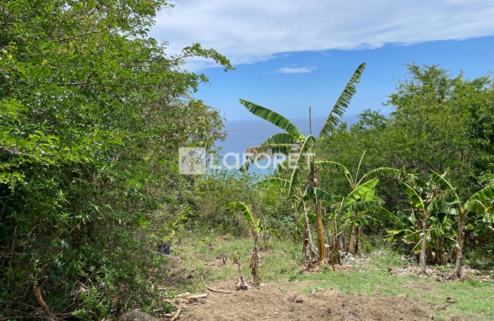 Vente Terrain 5094m² Deshaies